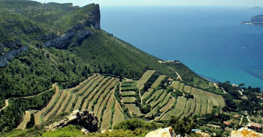From Marseille: Bandol/Cassis Wine Tour with Viewpoint - Bandol and Cassis in One Half-Day: Why the Mix Works