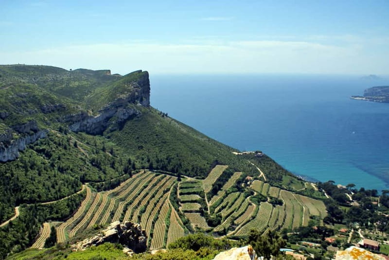 From Marseille: Cassis 4 hours - Wine tasting on the Cassis cliffs: the best reason to do this