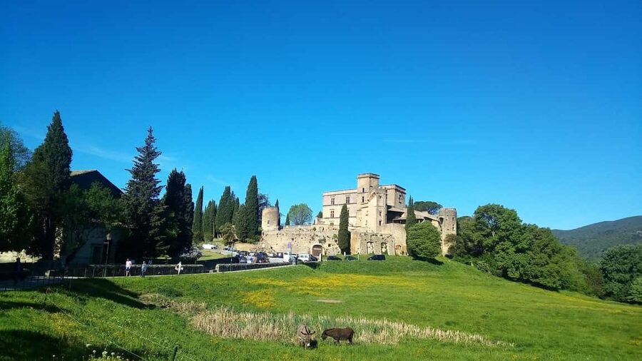 From Marseille Cruise Port: Luberon Villages - A Smooth Day Depends on Your Timing: Ship Pickup and Stop Order