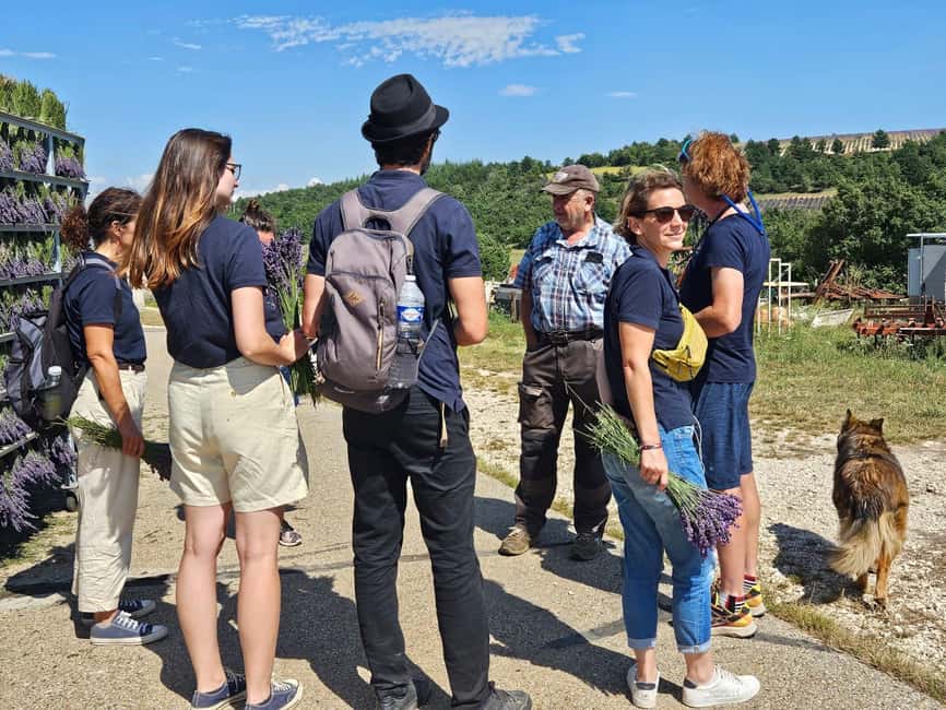 From Marseille: Lavender Full-Day Trip to Sault - Gordes on a cliff: fortified village vibes and shop time