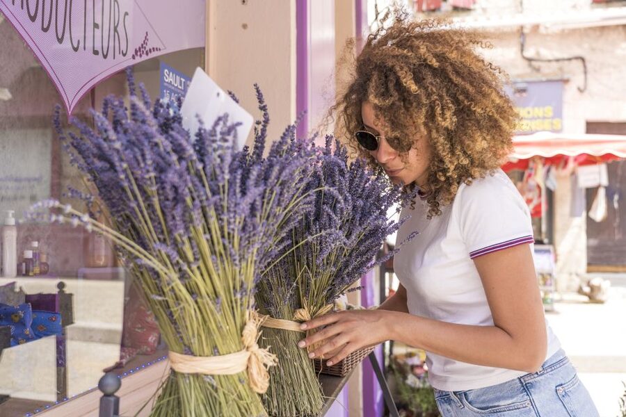 From Marseille: Lavender Full-Day Trip to Sault - Price and value: is $187 fair for what you get?