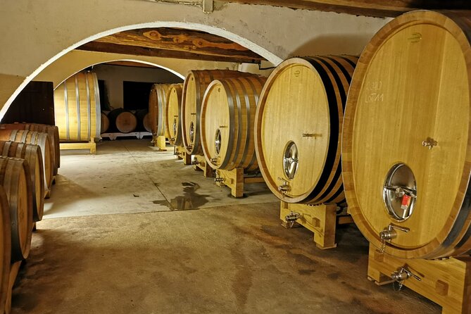From Marseille : Sidecar Wine Tour to Cassis and Bandol - La Ciotat and Figuerolles: A Short Stop With a Wild Edge