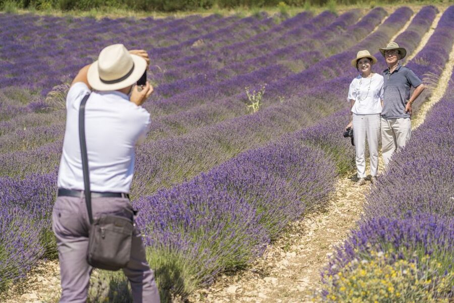 From Marseille: Valensole Lavenders Tour from Cruise Port - Stop 2: another photo session with changing conditions