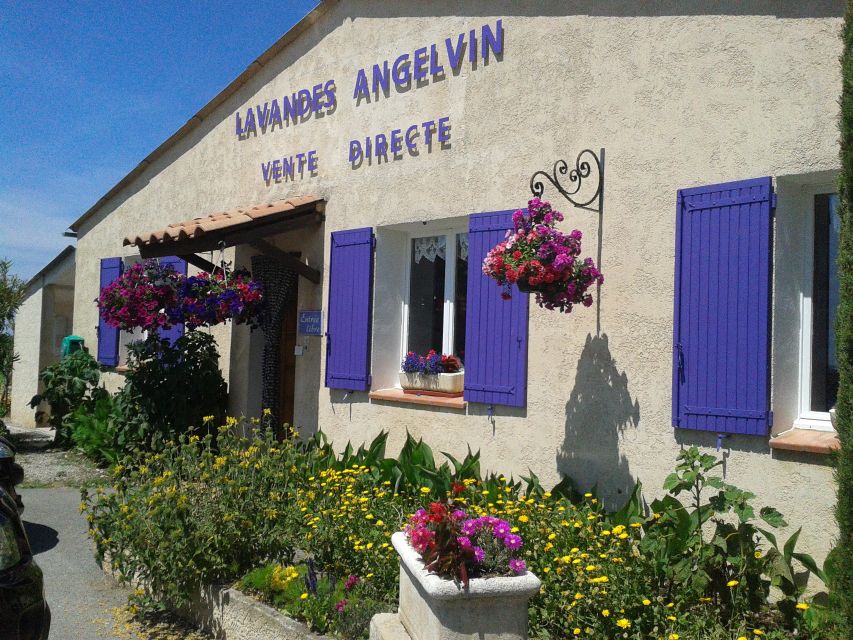 From Marseille: Valensole Lavenders Tour from Cruise Port - What to bring (and what to skip)