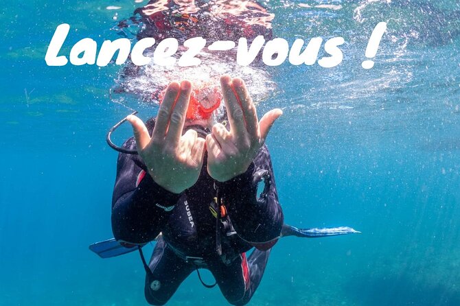 Full-Day Snorkeling and Guided Dive in the Calanques National Park from Marseille - Marseille’s Calanques: what makes this coast special for a full day