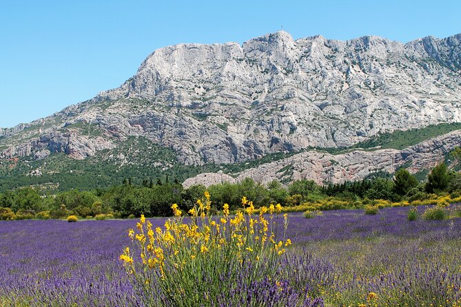 Full-Day Wine and Cheese Tour around Aix-en-Provence from Marseille - The Wine-and-Cheese Reality Check: What You Get (and What You Don’t)