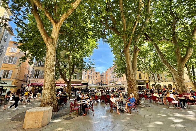 Full-Day Wine and Cheese Tour around Aix-en-Provence from Marseille - Rain, Winds, and the Goat Farm: How the Day Adjusts