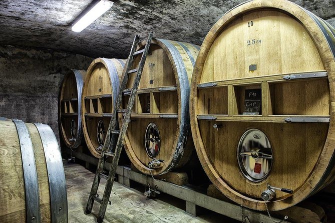 Full-day Wine Tour around Bandol & Cassis from Marseille - Marseille pickup and the A/C minivan advantage