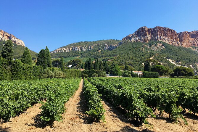Full-day Wine Tour around Bandol & Cassis from Marseille - Cassis winery stop: the guided tasting that focuses on coastal styles