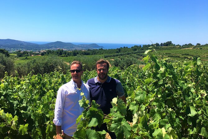 Full-day Wine Tour around Bandol & Cassis from Marseille - Cap Canaille: the photo stop that turns the day cinematic