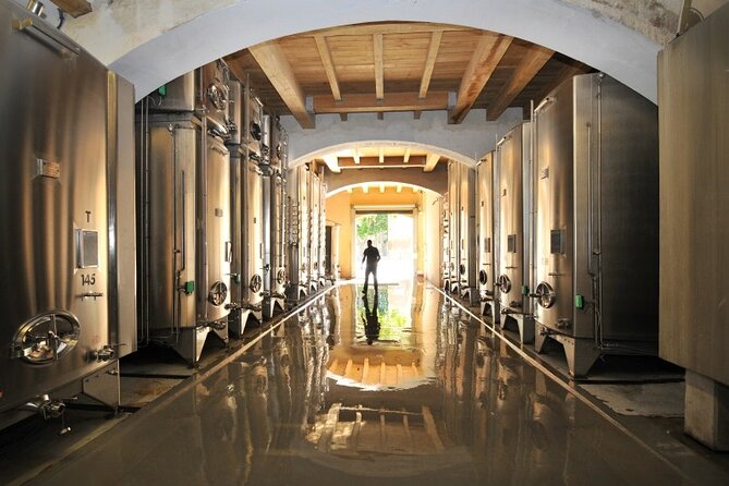 Full day Wine Tour around Luberon from Aix en Provence - Key highlights to know before you go
