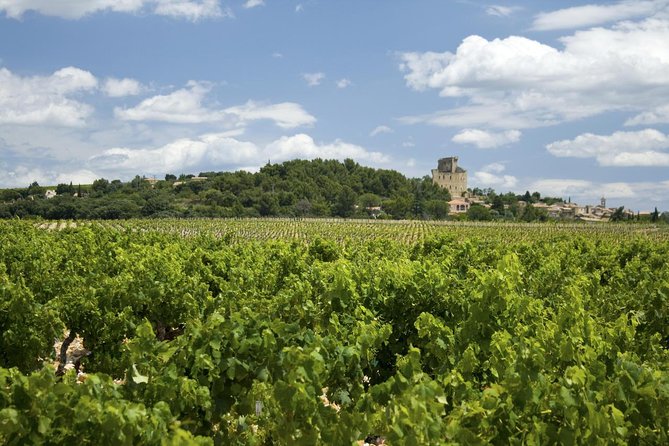Full private day Avignon Chateuneuf du pape wine tasting - Avignon’s highlights: Pope Palace views and why free time is a smart move