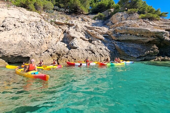 Guided kayak excursion in creeks - Who this kayak tour fits best