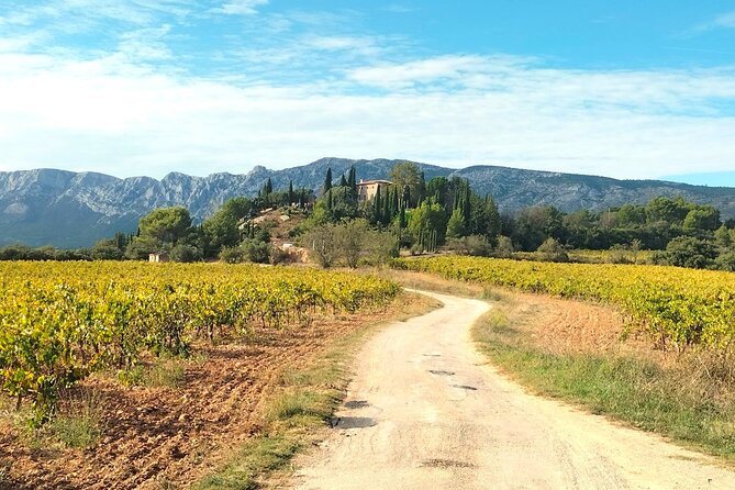 Half Day in the Country : Wine Tasting, Picnic & Pétanque - Key things to know before you go