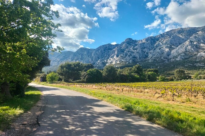 Half Day in the Country : Wine Tasting, Picnic & Pétanque - Tom’s guiding style: English, humor, and real local talk