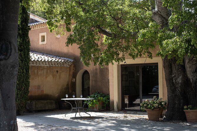 Half day Wine Tour in Bandol & Cassis from Aix en Provence - Half-Day Schedule From Aix: 1:30 pm Out, 6:30 pm Back