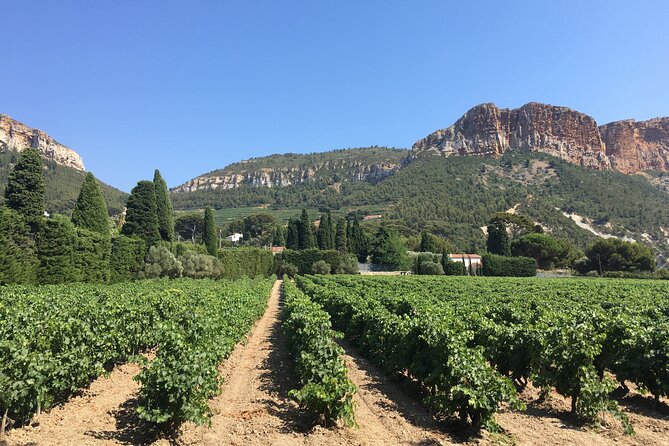Half day Wine Tour in Bandol & Cassis from Aix en Provence - Inside the Wineries: What You’ll See Beyond the Tasting Room