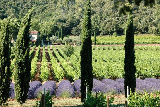 Half day Wine Tour in Côteaux Aix from Aix en Provence - Key highlights to know before you go