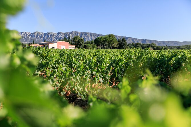Half day Wine Tour in Côtes de Provence Sainte-Victoire from Aix en Provence - Key takeaways before you go