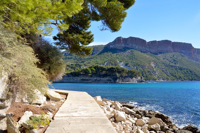 Highlights of Provence : food, wine and seaside in Cassis and Aix - Key highlights worth your attention