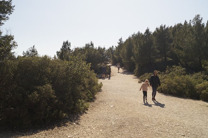 Hiking in the Calanques National park from Marseille - Getting there and back: the Marseille transport question