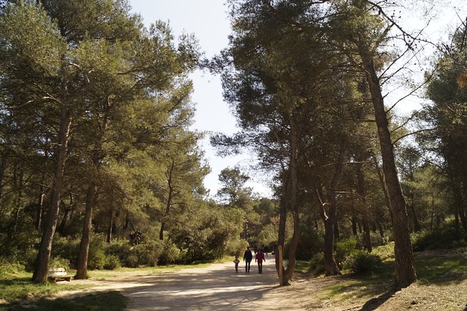 Hiking in the Calanques National park from Marseille - What to bring for a 5-hour Calanques hike