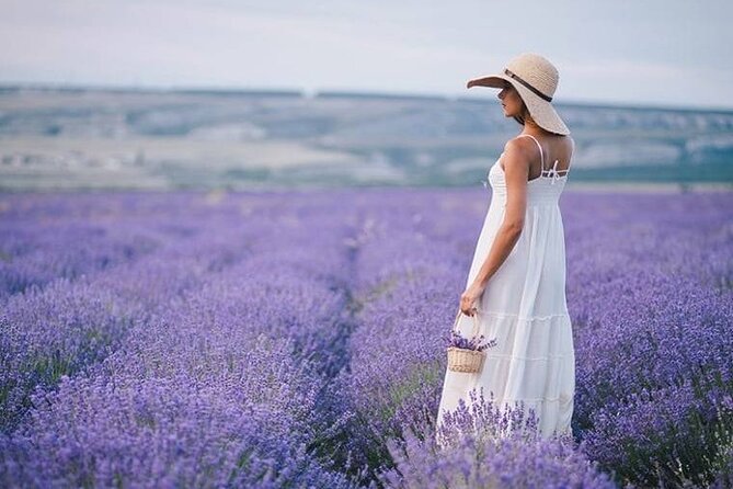 Lavender Fields Full Day Private Tour From Marseille - Key highlights
