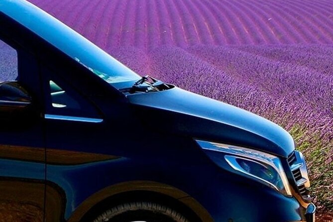 Lavender Fields Full Day Private Tour From Marseille - Price and value for a group up to 7