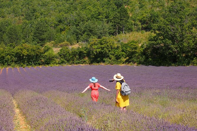 Lavender Full-day Tour in Sault From AIX-EN-PROVENCE - Key highlights you will feel during the day