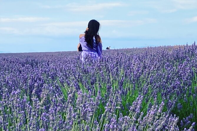 Lavender in Bloom : Unforgettable Provençal Stroll - Lavender distillery to Les Grandes Marges tasting