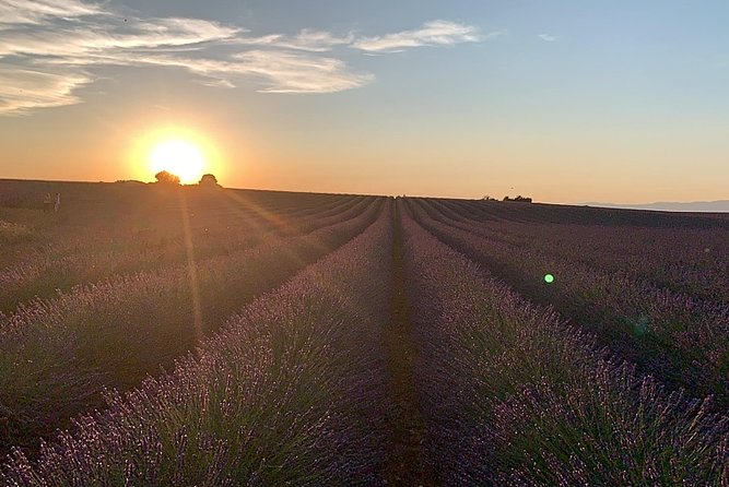 Lavender in Bloom : Unforgettable Provençal Stroll - FAQ