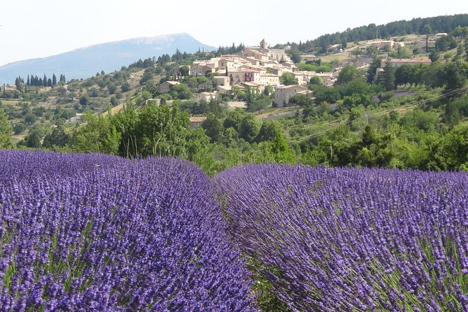 Lavender Tour Sault from Marseille - Getting out of Marseille without renting a car