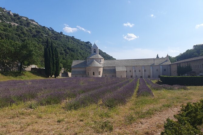 Lavender Tour Sault from Marseille - Price and value: what $191.45 covers (and what it doesn’t)