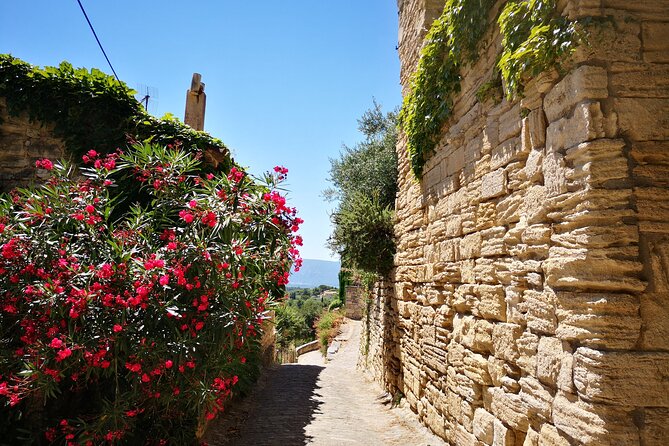 Luberon Villages Full Day Trip From Aix - The van ride and small group size: why guides matter on this route