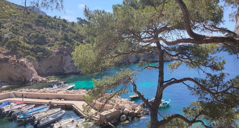 Marseille, Aix-en-Provence & Cassis 7-Hour Tour - Aix-en-Provence morning markets: the best kind of sightseeing