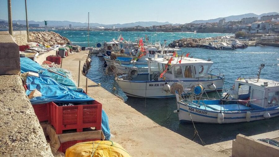 Marseille and Calanques ebike tour full day - Who this tour suits best (and who might struggle)