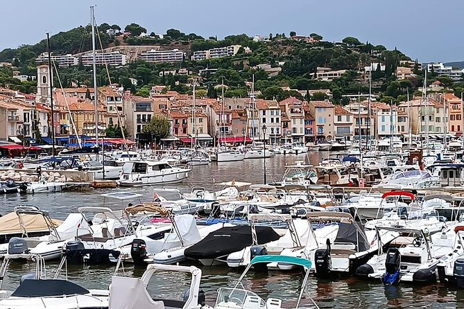 Marseille and Cassis Private Full-Day Tour - Key things to know before you go