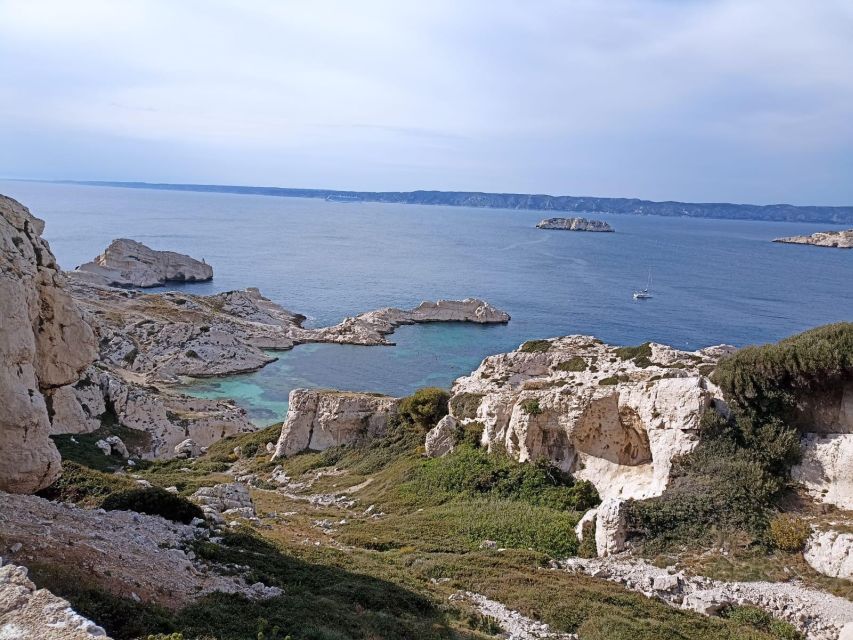 Marseille: Catamaran cruise to discover Frioul Islands - Marseille to Frioul by Catamaran: Why This Route Feels Right
