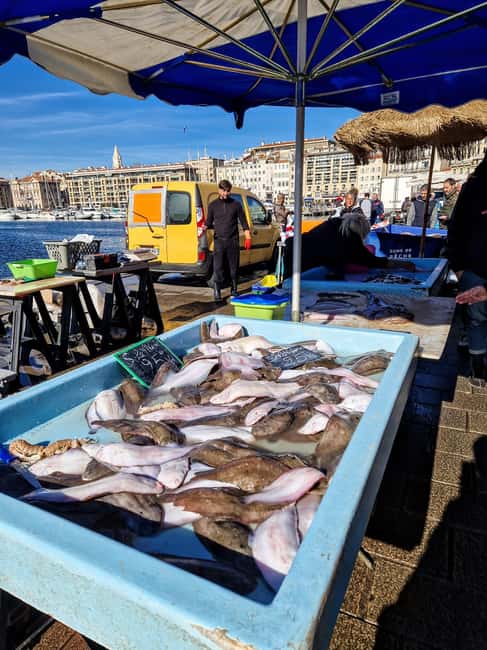 Marseille: découvrir la vieille ville avec un marseillais - Vieux-Port: l’histoire du plus ancien port de France