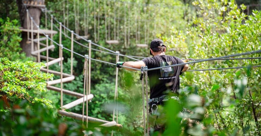 Marseille: Ecopark Adventures Treetop Adventure - Ten treetop courses for all levels (plus a kids-only entry point)