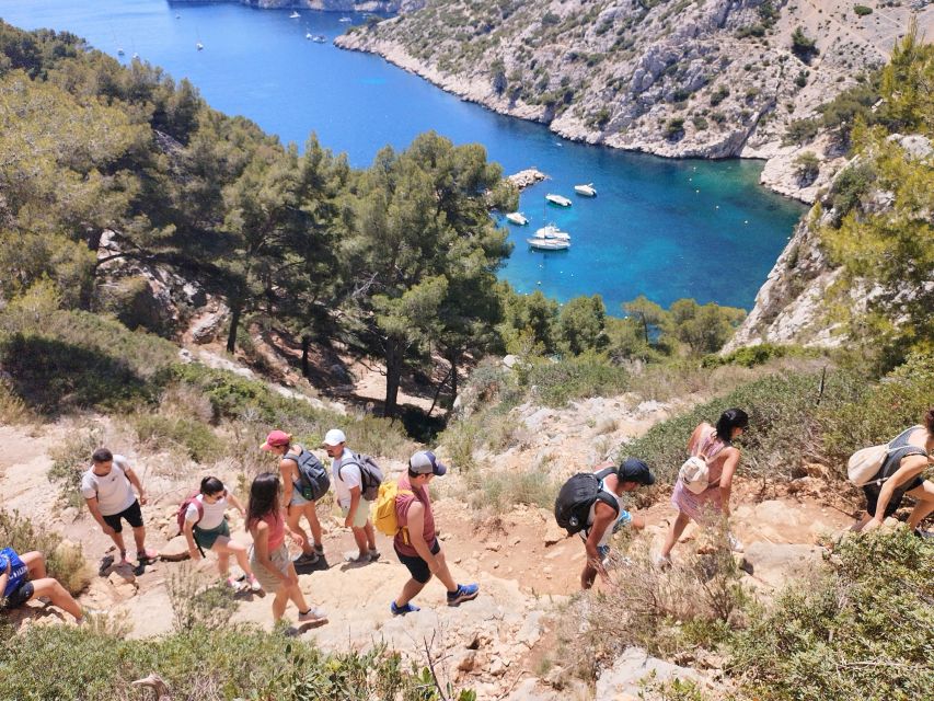 Marseille: Guided Hiking Calanques National Park from Luminy - Price and value: what $47 buys you on a guided Calanques day