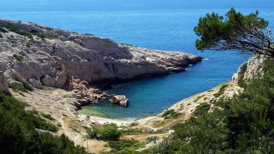 Marseille : Private Custom Tour with a Local Guide - The meet-up and pacing: how the time window really feels