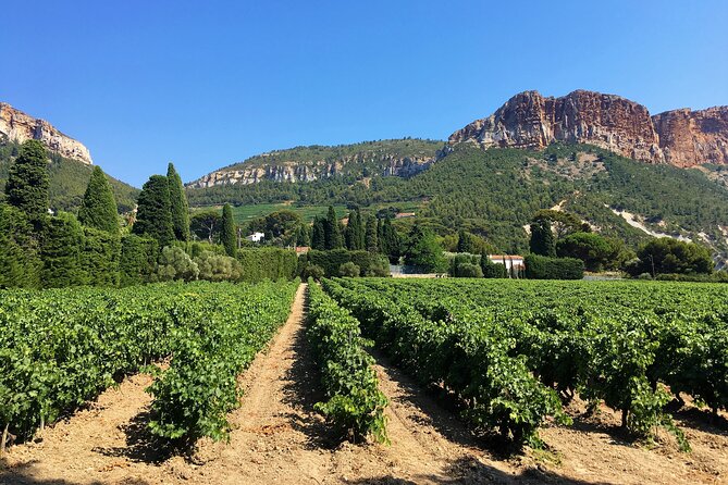 Marseille Shore Excursion - Full Day Wine Tour in Provence - Marseille to Provence by A/C van: less chaos, more time in the day