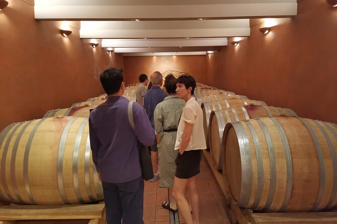 Marseille Shore Excursion - Full Day Wine Tour in Provence - Cruise-port logistics: pickup, timing, and how to avoid the stress spiral