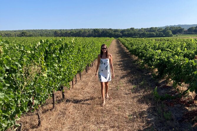 Marseille Shore Excursion - Full Day Wine Tour in Provence - Should you book this Marseille to Provence wine day?