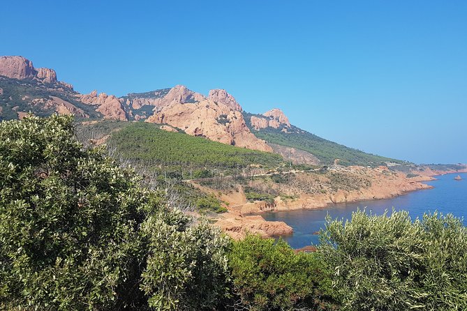 MARSEILLE Shore Excursion : Taste of Provence Aix and Cassis - Getting There in Comfort: Port Pickup, Wi-Fi, and an A/C Mercedes