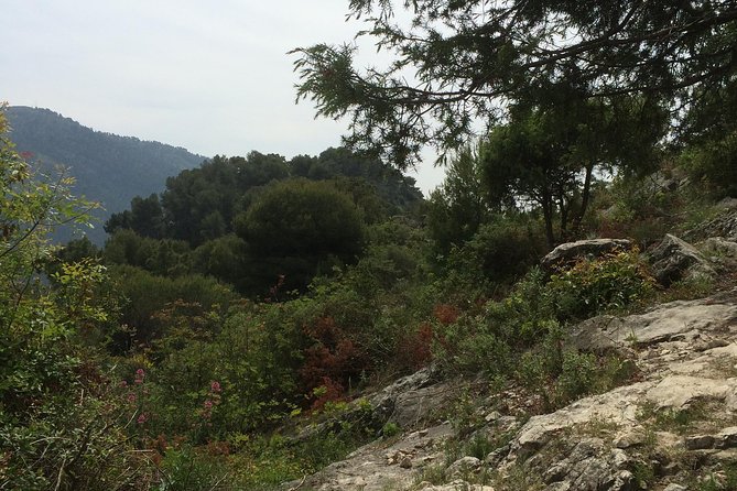 MARSEILLE Shore Excursion : Taste of Provence Aix and Cassis - Who This Tour Suits Best (and Who Should Rethink It)