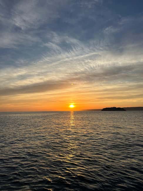 Marseille: Sunset catamaran cruise, buffet & drinks - Key things to know before you go