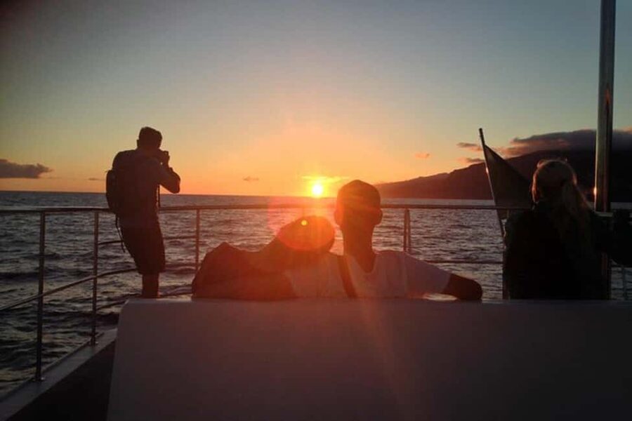 Marseille: Sunset catamaran cruise, buffet & drinks - Deck life: rooftop, nets, and the best way to relax
