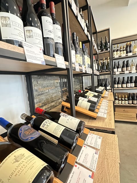 Marseille: Tailored Wine Tasting Experience in Top Wine Shop - Key Things You’ll Notice Right Away